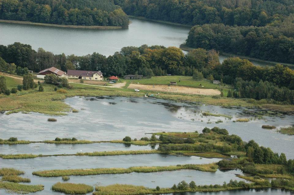 Villa Stajnia Grazyny Mikorowo 46 Czarna Dabrowka Esterno foto